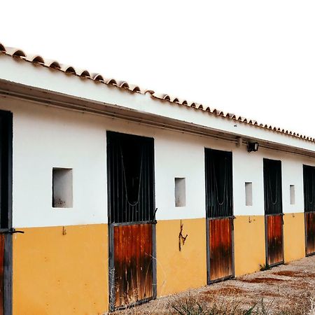 فيلا Finca El Cerco A 5M De Puy Du Fou Y 10M A Casco Antiguo De Toledo Argés المظهر الخارجي الصورة