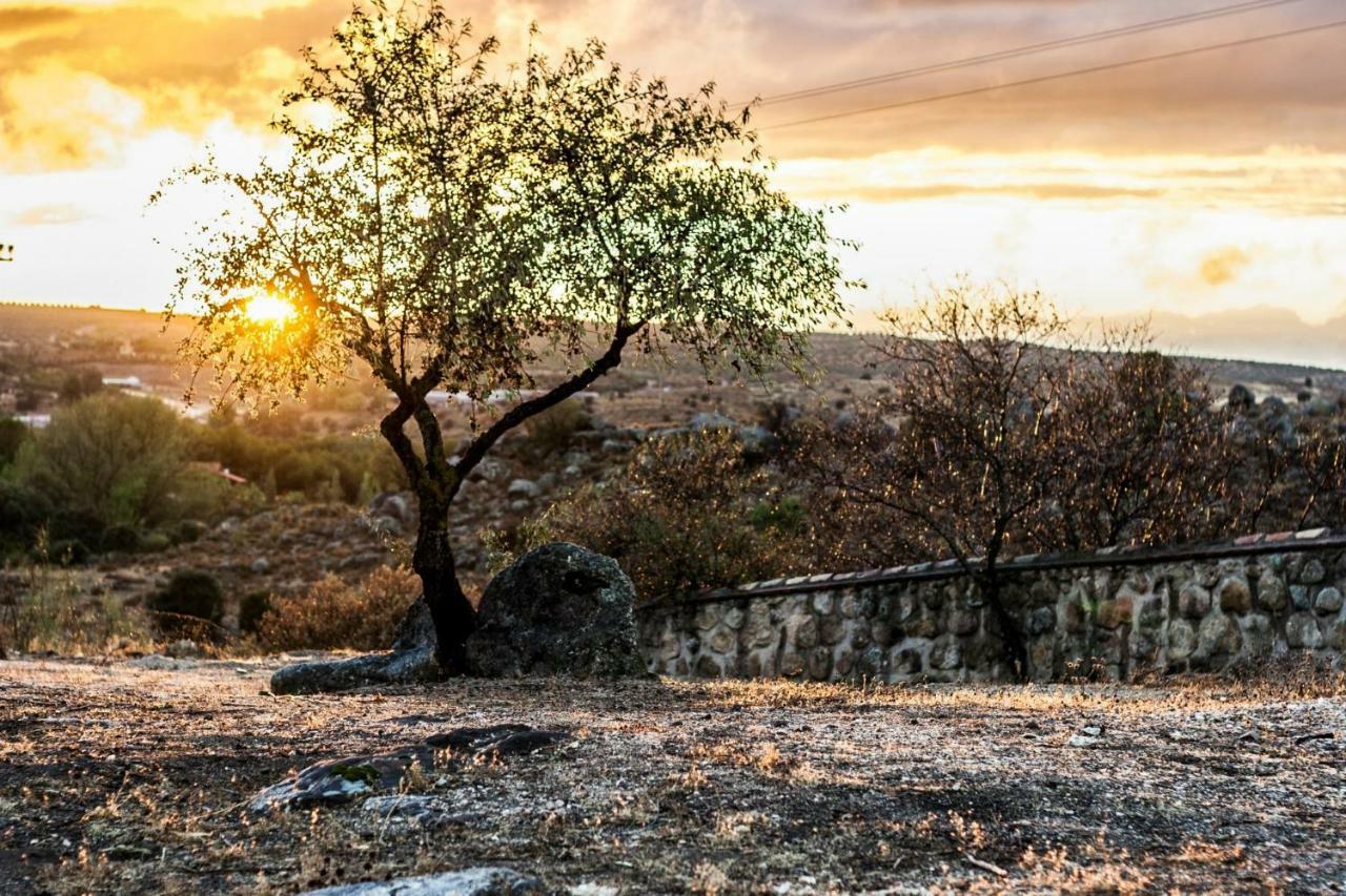 فيلا Finca El Cerco A 5M De Puy Du Fou Y 10M A Casco Antiguo De Toledo Argés المظهر الخارجي الصورة