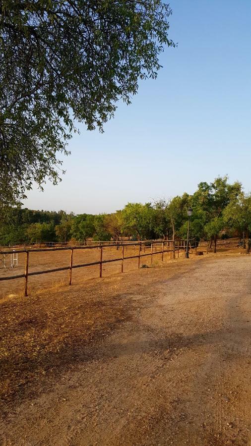 فيلا Finca El Cerco A 5M De Puy Du Fou Y 10M A Casco Antiguo De Toledo Argés المظهر الخارجي الصورة