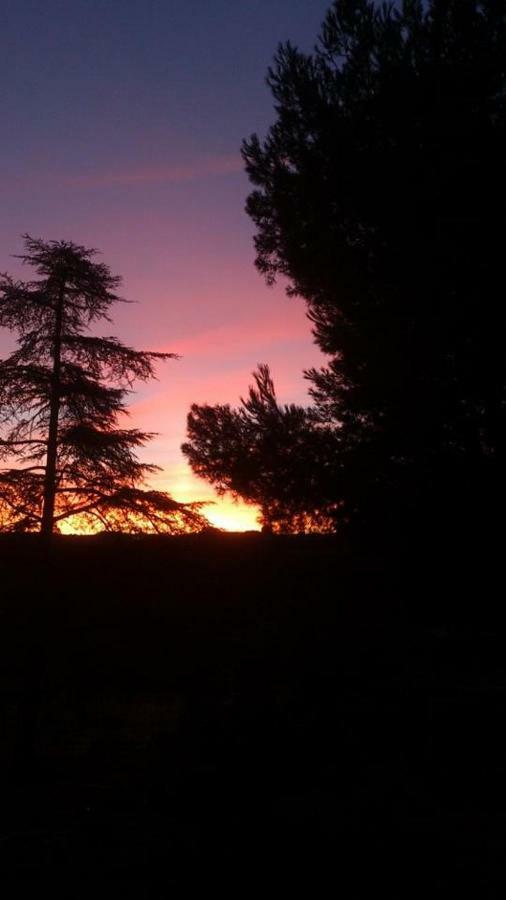 فيلا Finca El Cerco A 5M De Puy Du Fou Y 10M A Casco Antiguo De Toledo Argés المظهر الخارجي الصورة