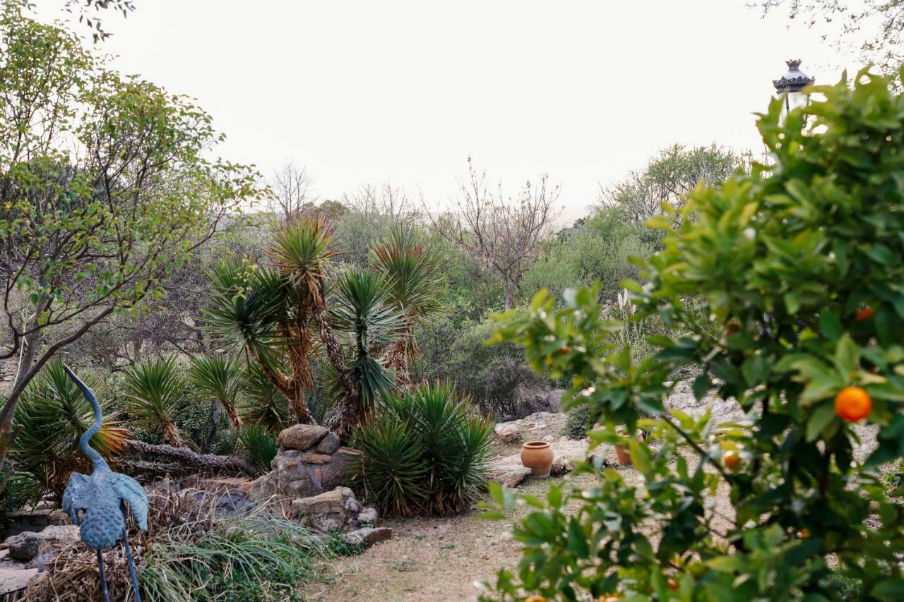 فيلا Finca El Cerco A 5M De Puy Du Fou Y 10M A Casco Antiguo De Toledo Argés المظهر الخارجي الصورة